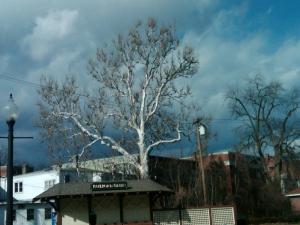 IMG-20120222-00002 (1)