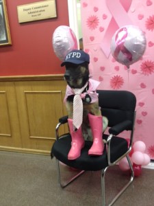 nypd pink dog 2